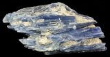 Vibrant Blue Kyanite Crystals In Quartz - Brazil #56932-2